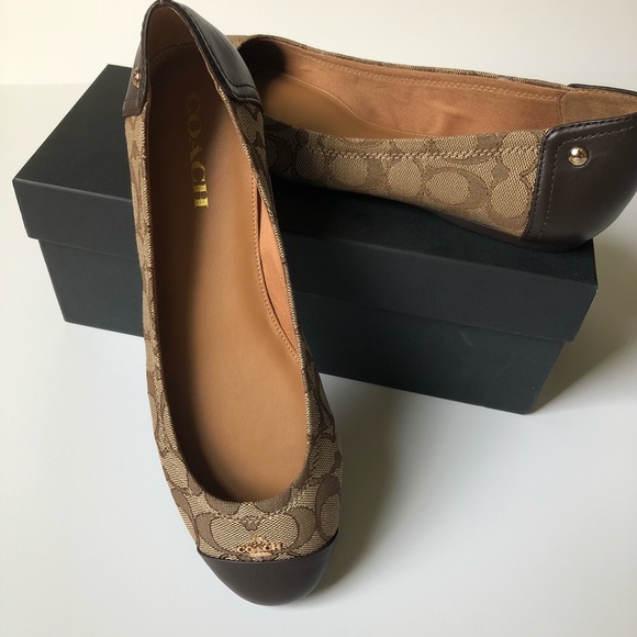 Coach Shoes - Coach Chelsea Outline Khaki Chestnut Logo Shoe